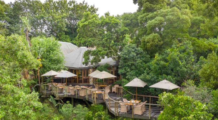 5 luxury lodges that you simply have to visit Tsala Treetop