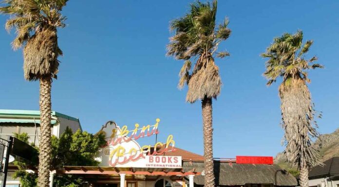 5 incredibly fun holiday stops up the South Coast Bikini Beach Books