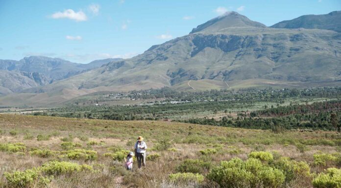 5 Western Cape hikes to inspire you in 2022 Greyton